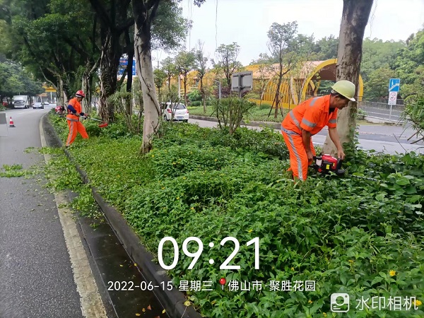 項目動態(tài) | 打造美麗鳳城，筑文明城市生態(tài)