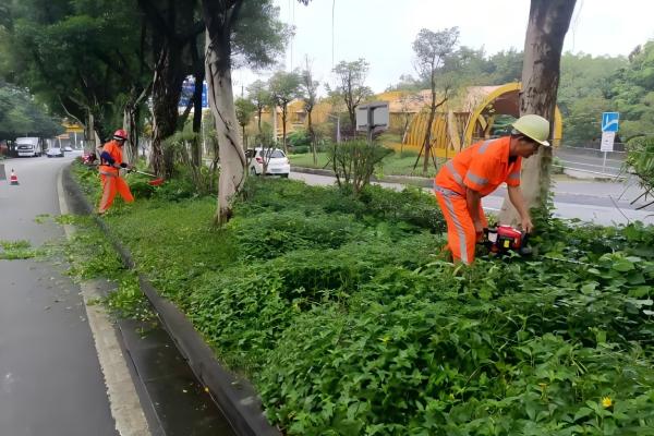 深圳龍華城市園林環(huán)衛(wèi)服務(wù)價格