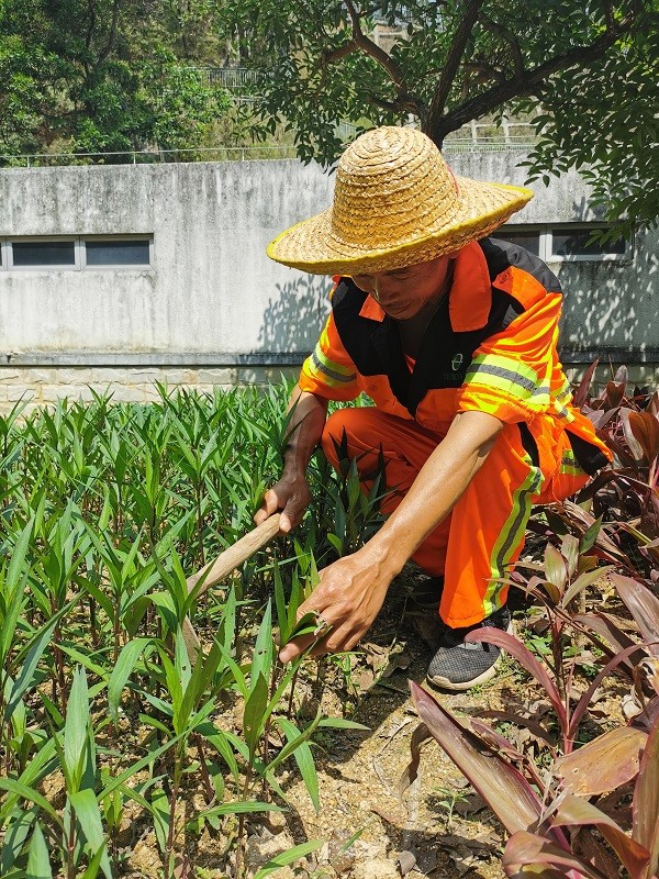 綜合綠地綠化養(yǎng)護包含哪些